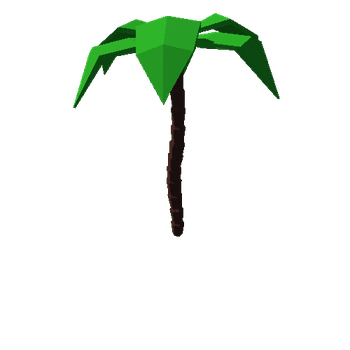 Palm Tree 1